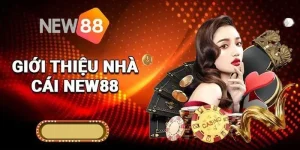 Giới thiệu về thương hiệu new 88