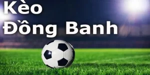 Kinh nghiệm cá độ bóng đá với kèo đồng banh