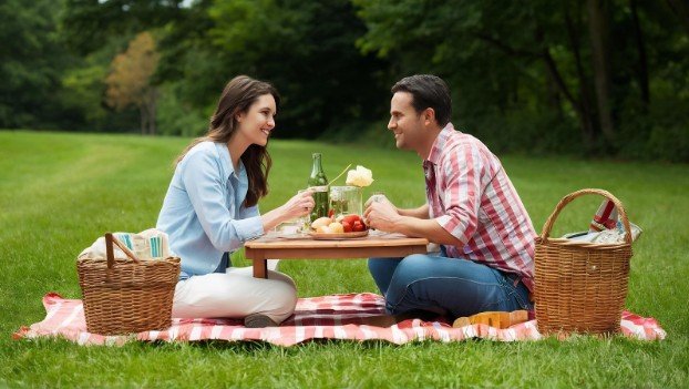 Picnic Perfection