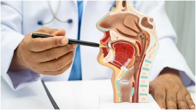 Biocompatible Materials and Safe Practices