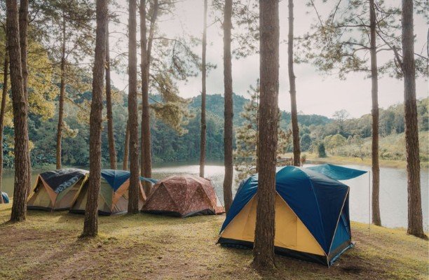 Conduct Thorough Due Diligence