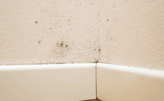 Strange Noises in the Walls