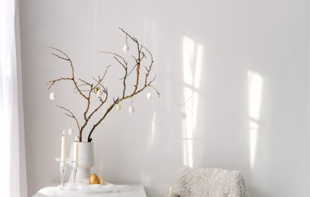Trim Overhanging Tree Branches